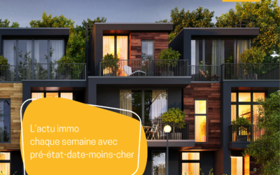 Pré-état daté : Ventes immobilières 2024, une année de transition